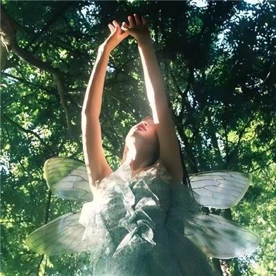 阿特米斯的奇幻历险